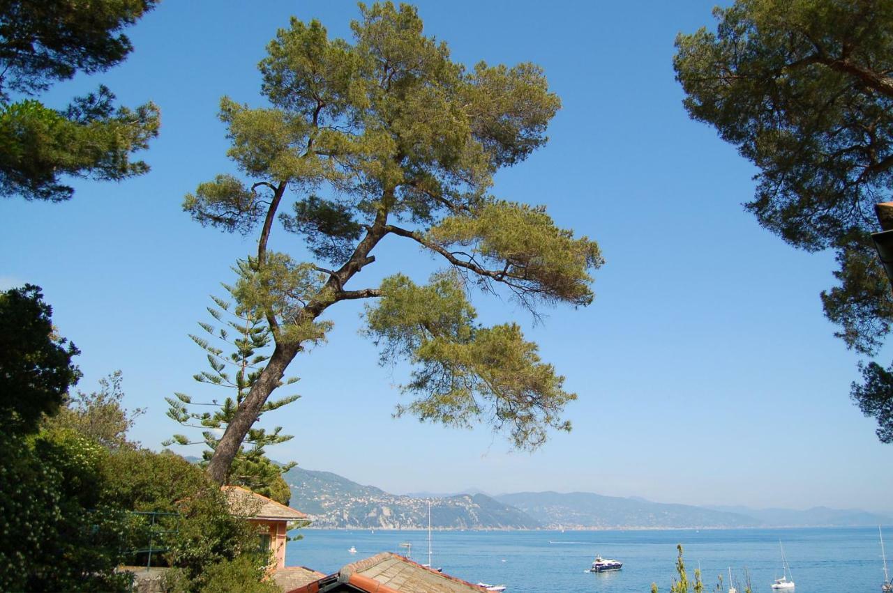 Portofino Seaview Apartment, 50 Meters From The Beach, Free Parking, Air Conditioning 파라기 외부 사진